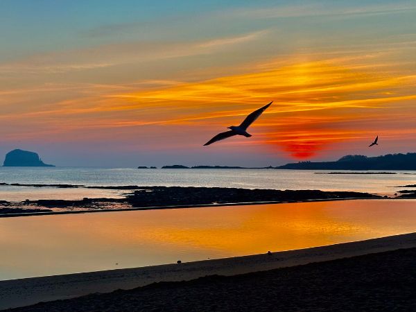 Pat Christie: Dawn to Dusk