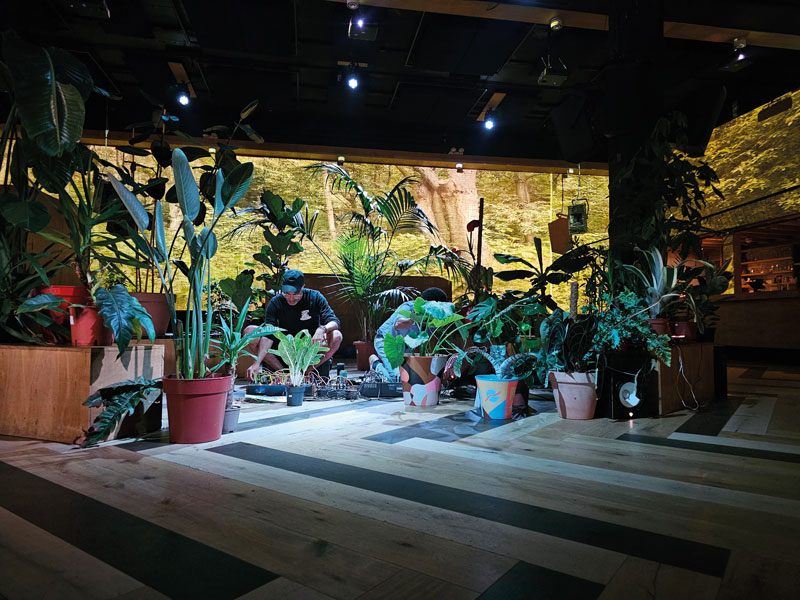 PlantsCanDance-2